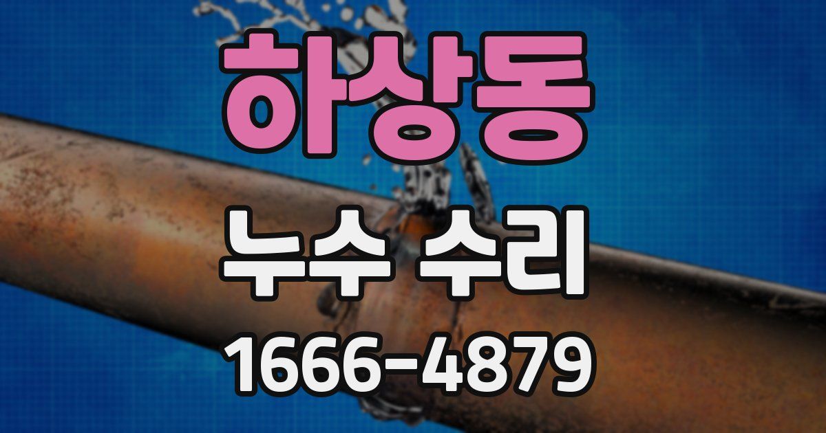 하상동 누수 수리