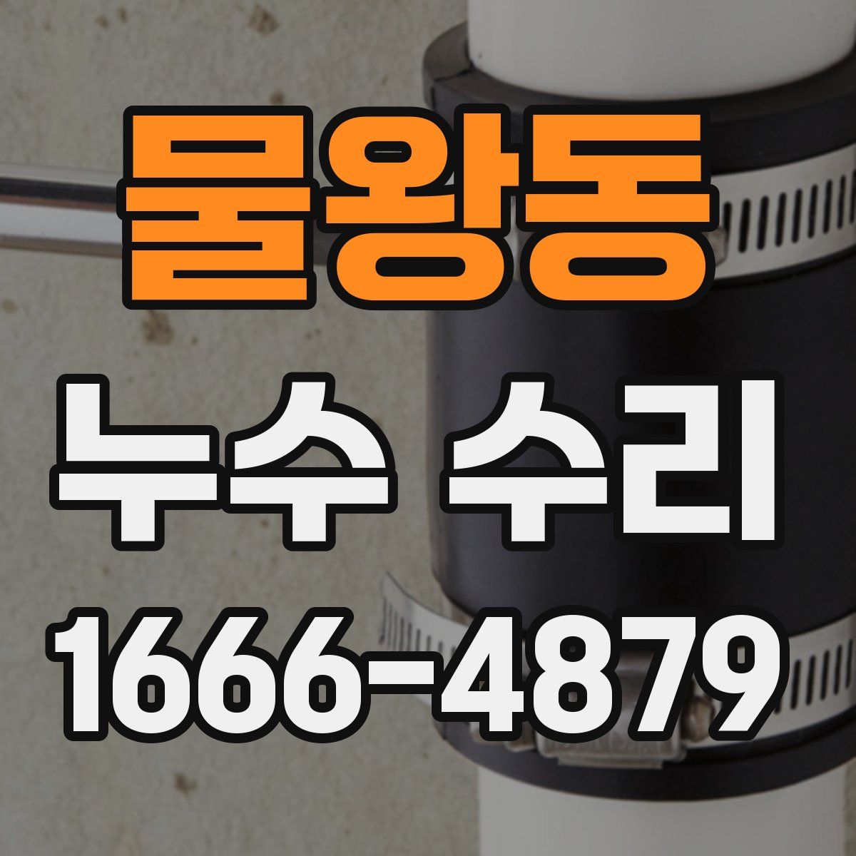 물왕동 누수 수리