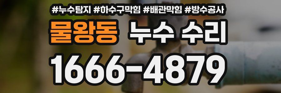 물왕동 누수 수리