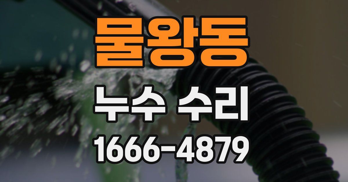물왕동 누수 수리