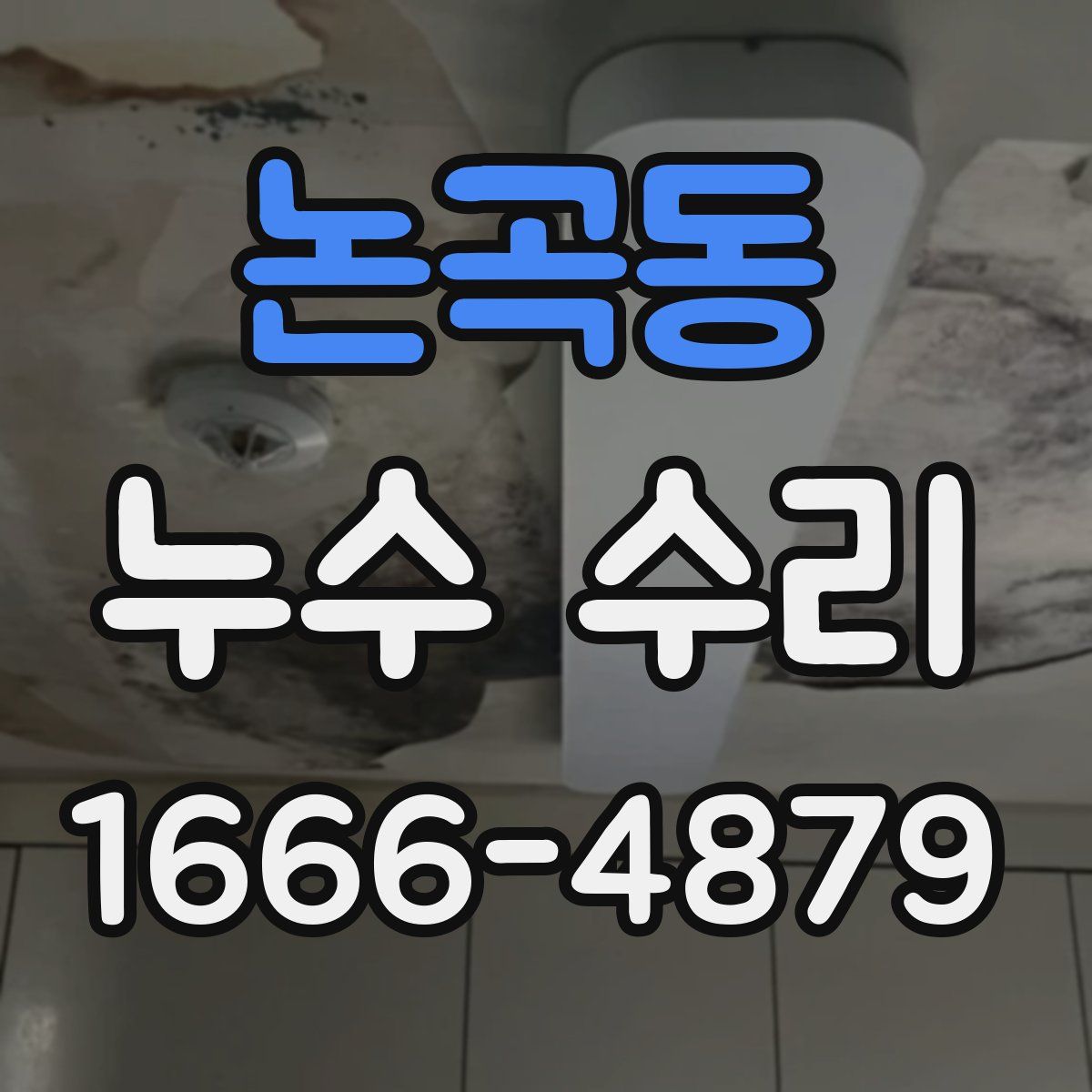 논곡동 누수 수리