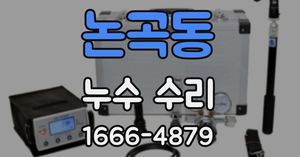 논곡동 누수 수리