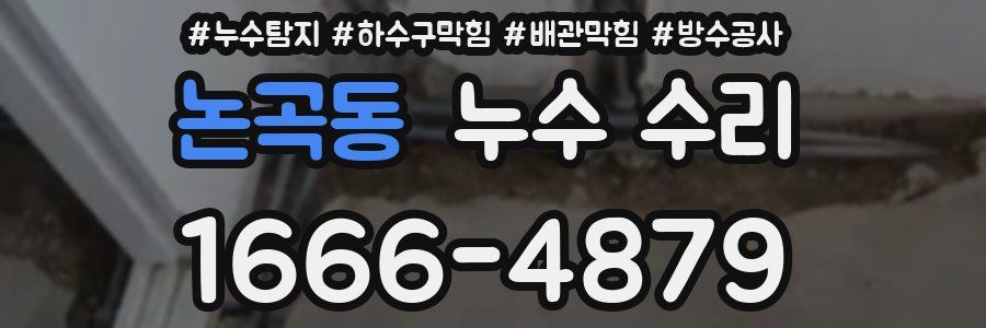 논곡동 누수 수리