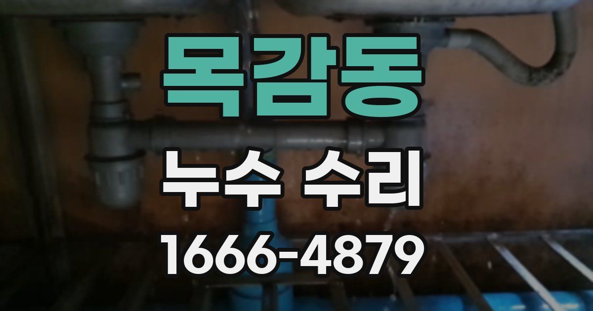목감동 누수 수리
