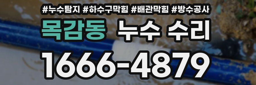 목감동 누수 수리
