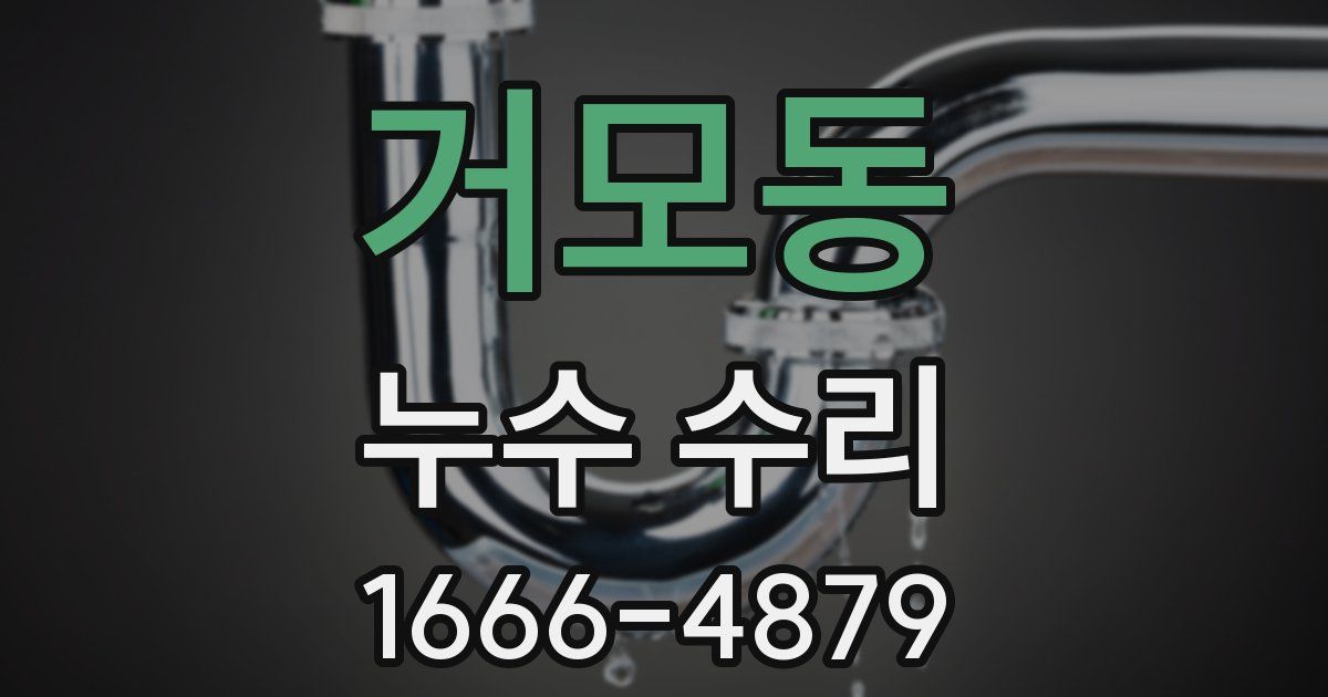 거모동 누수 수리