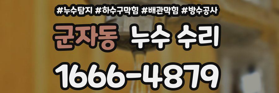 군자동 누수 수리