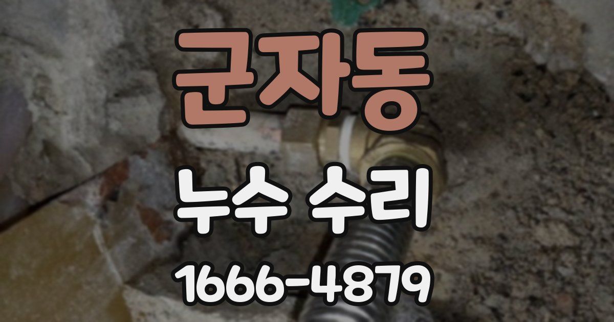 군자동 누수 수리