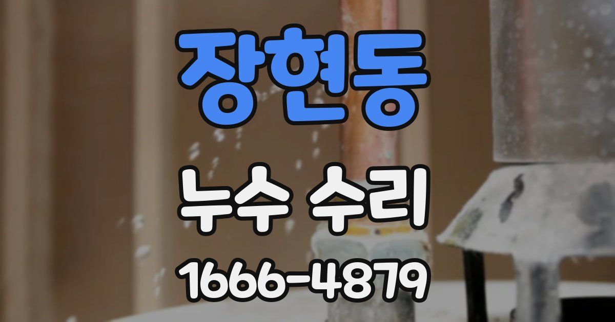 장현동 누수 수리