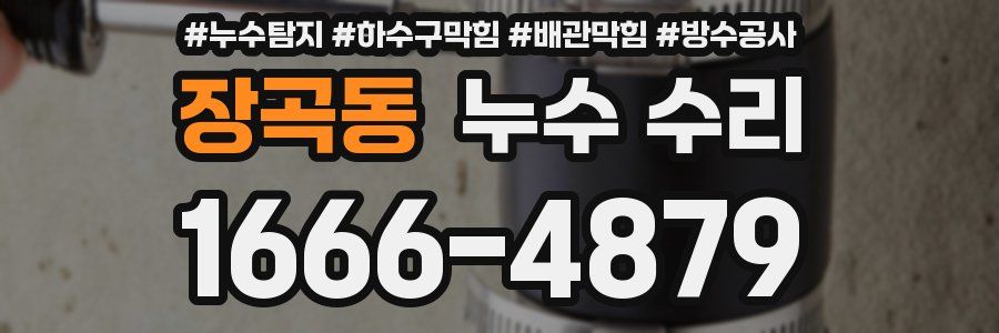 장곡동 누수 수리