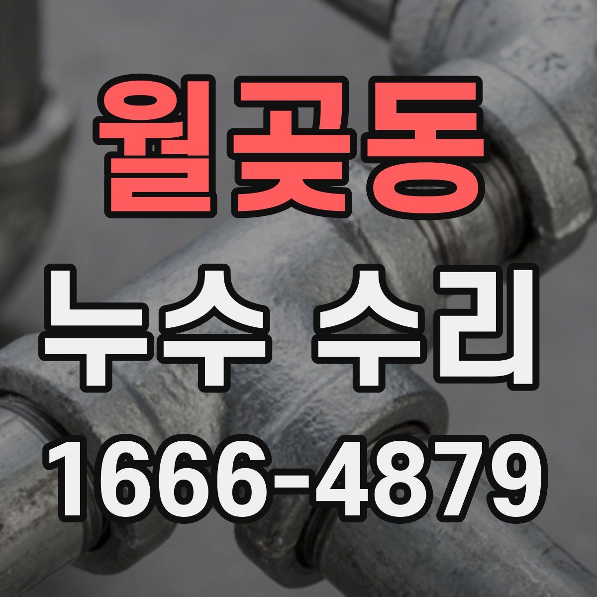 월곶동 누수 수리
