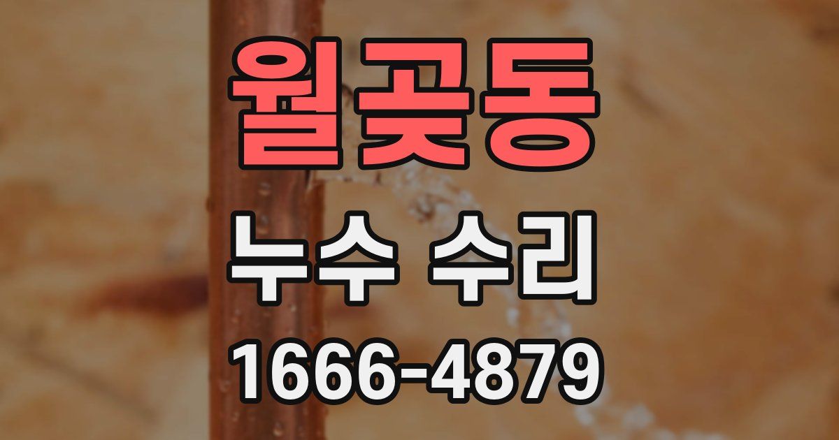 월곶동 누수 수리
