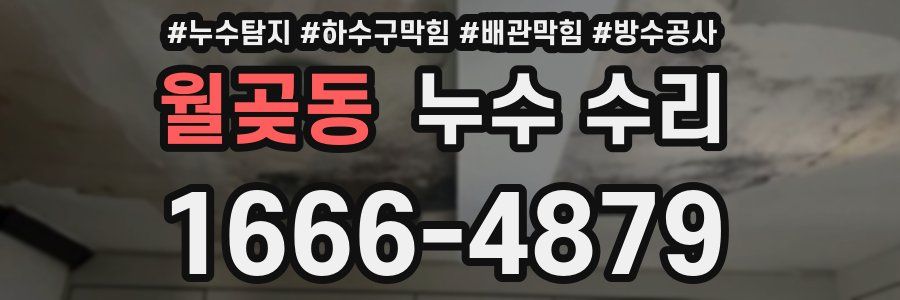 월곶동 누수 수리