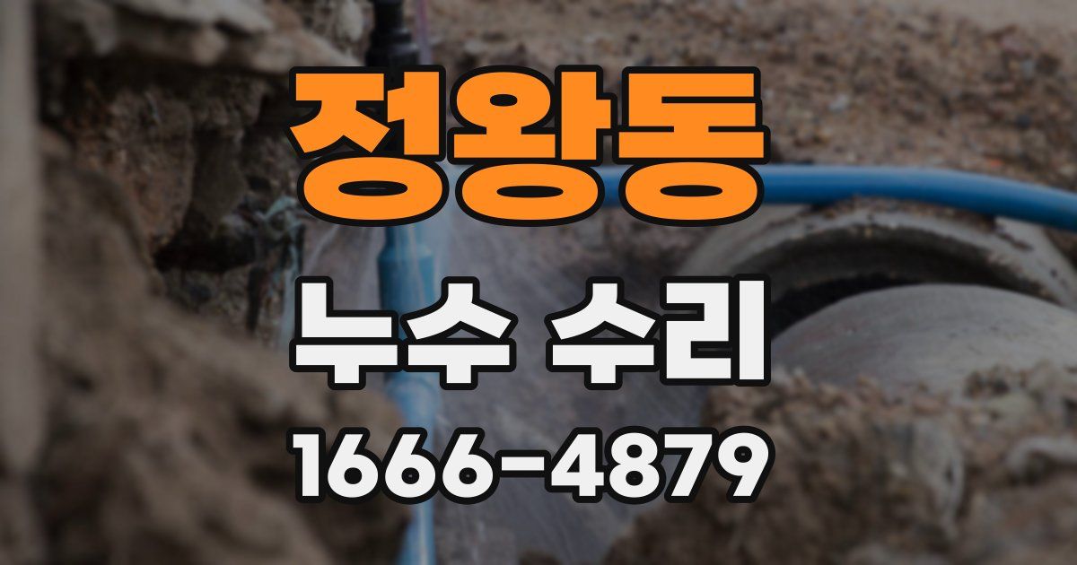 정왕동 누수 수리
