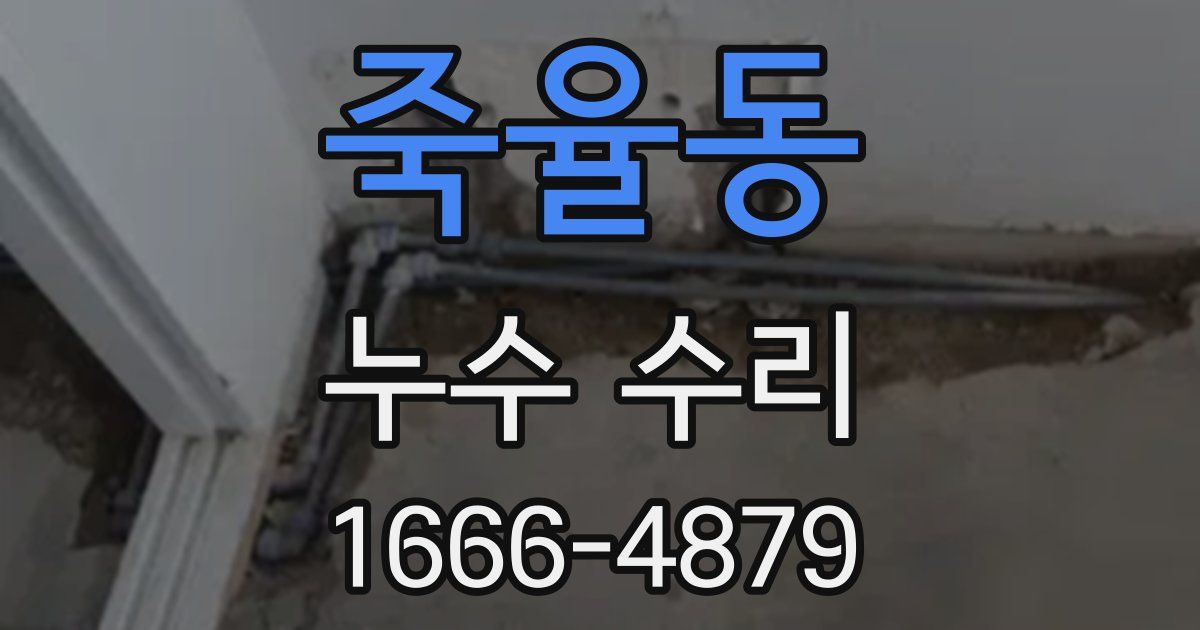 죽율동 누수 수리