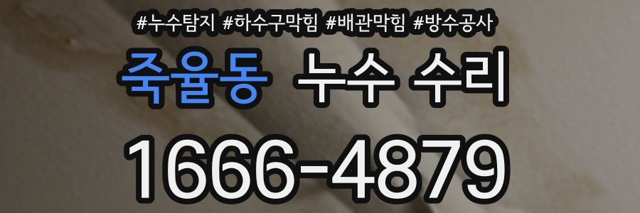 죽율동 누수 수리