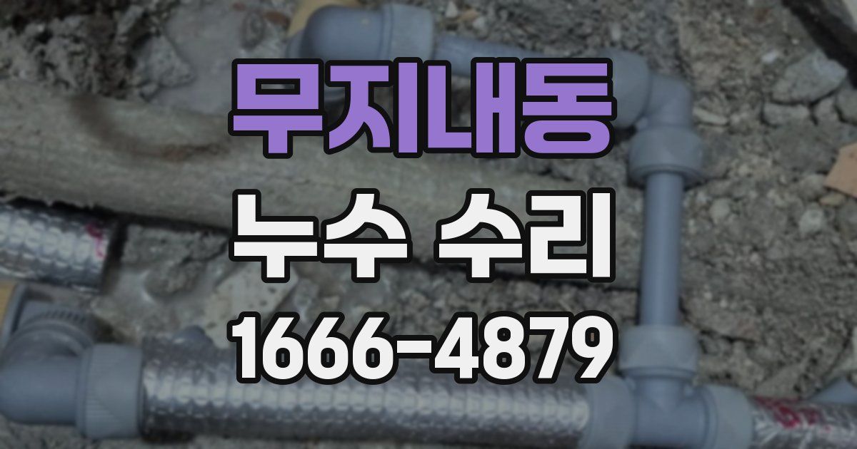 무지내동 누수 수리