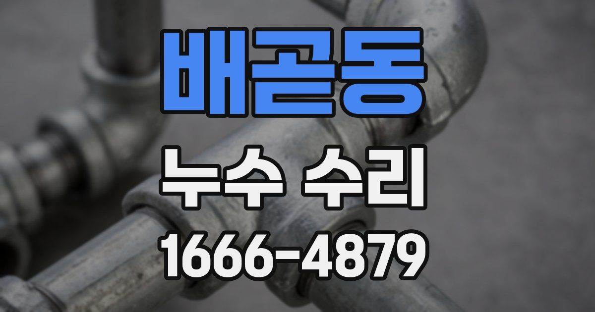 배곧동 누수 수리