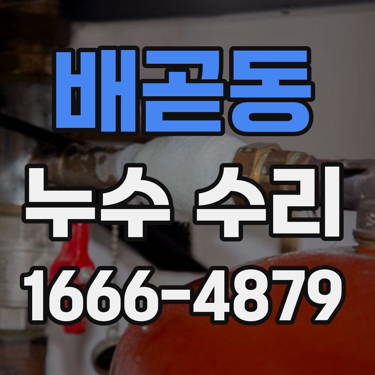 배곧동 누수 수리