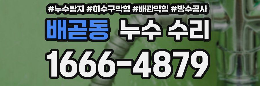 배곧동 누수 수리