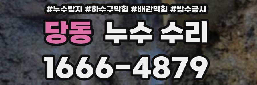 당동 누수 수리