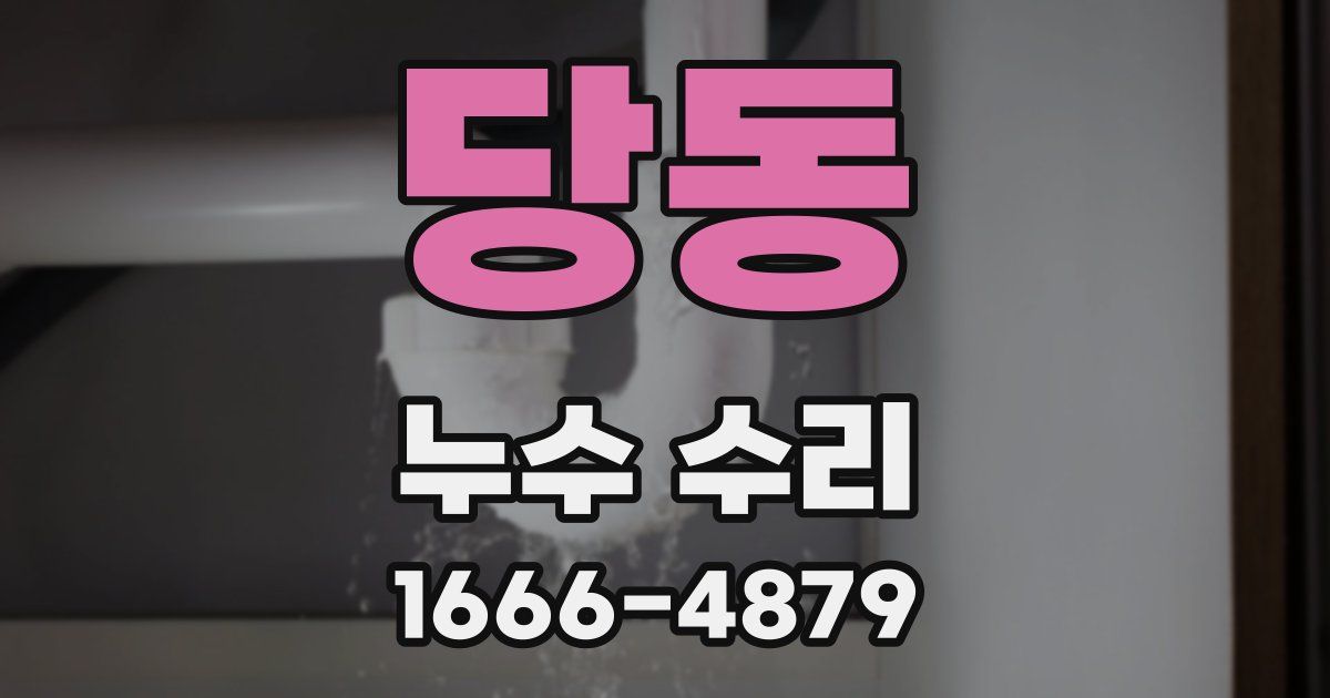 당동 누수 수리
