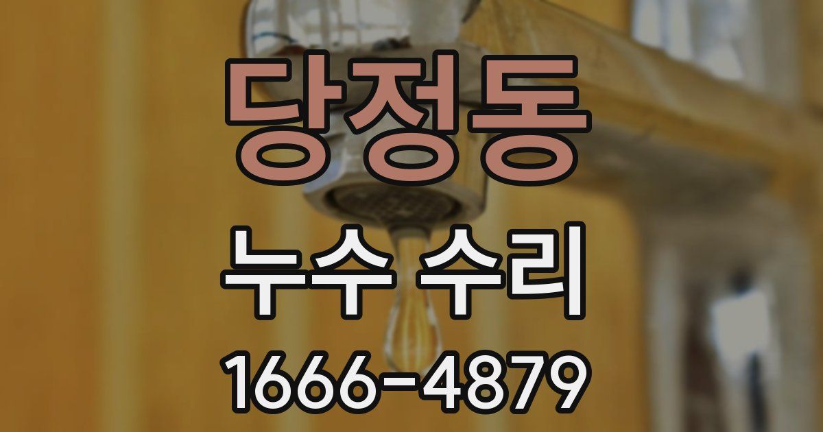 당정동 누수 수리
