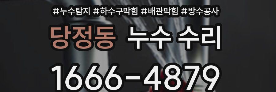 당정동 누수 수리