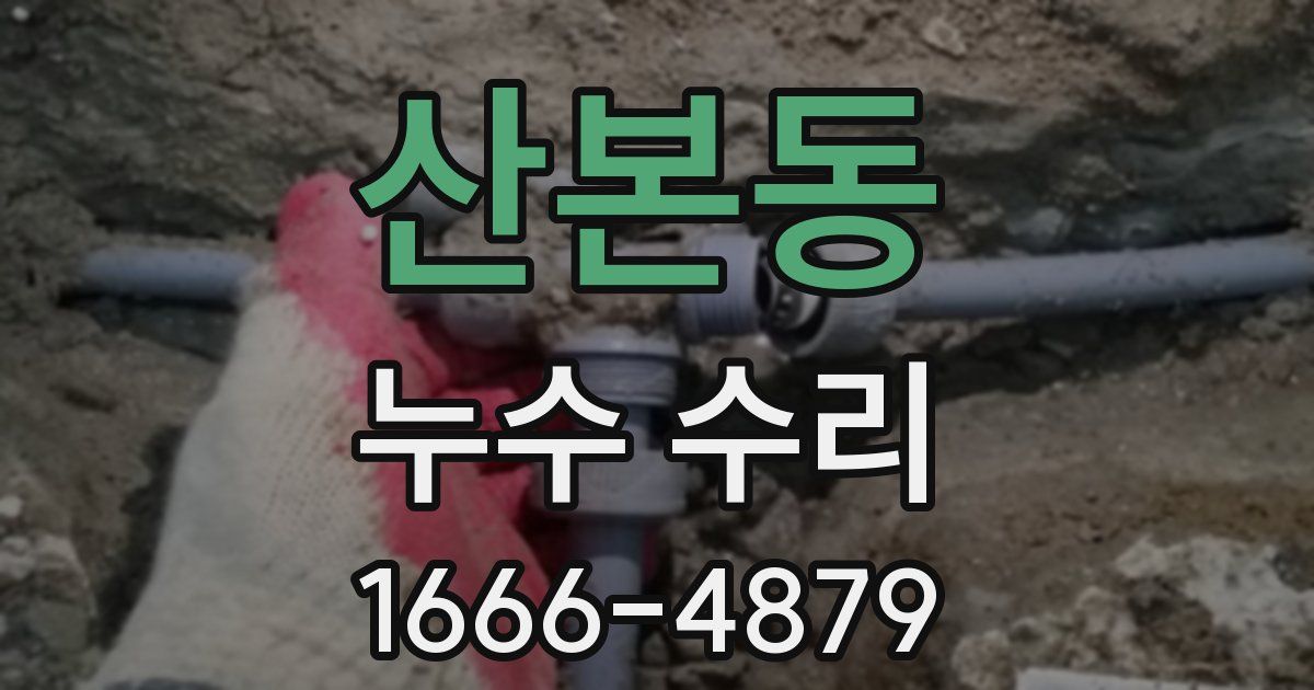 산본동 누수 수리