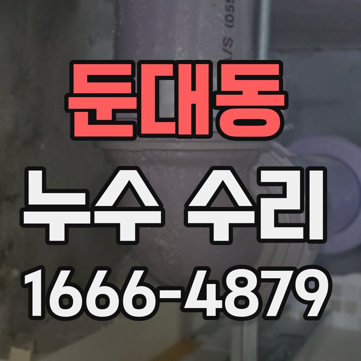 둔대동 누수 수리