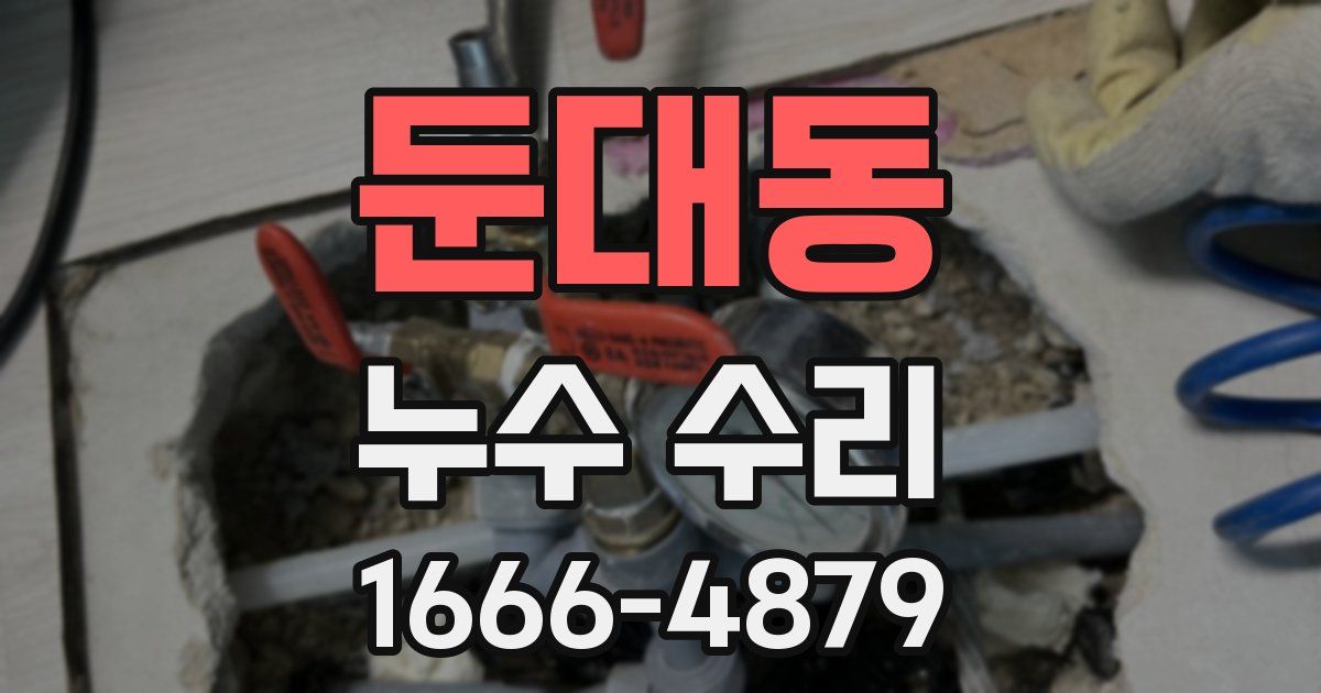 둔대동 누수 수리