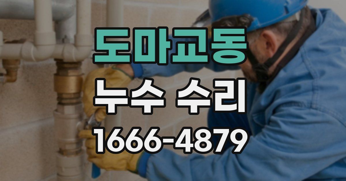 도마교동 누수 수리