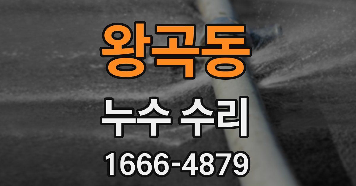 왕곡동 누수 수리