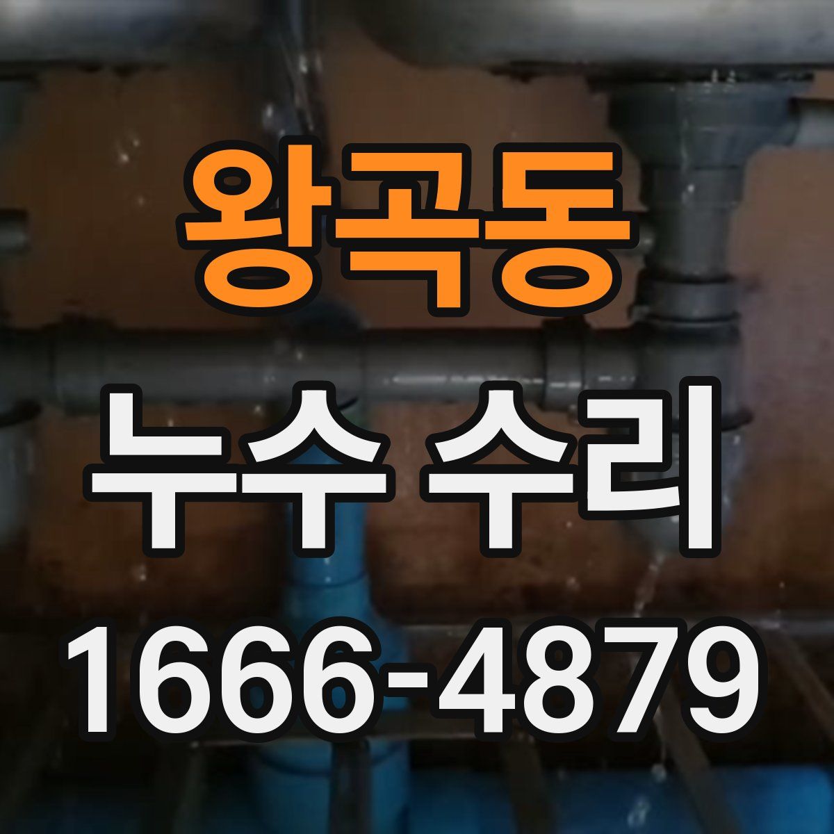 왕곡동 누수 수리