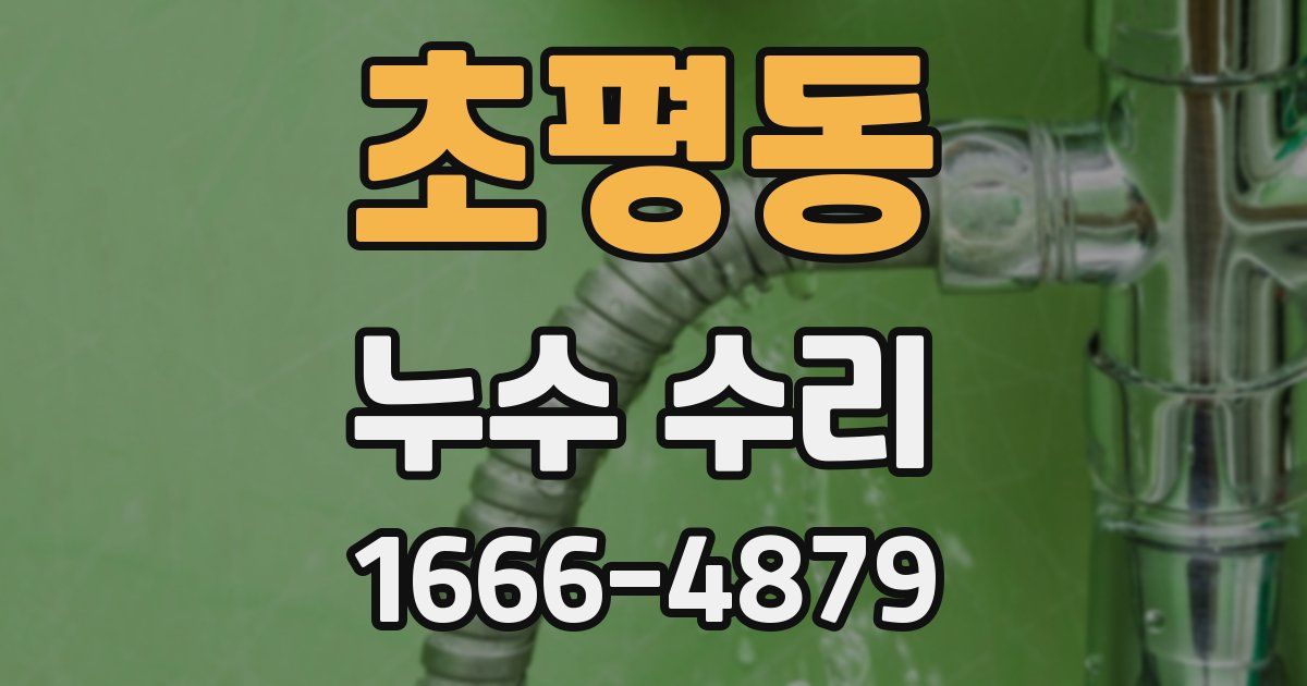 초평동 누수 수리