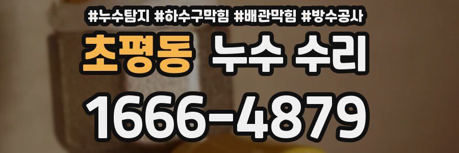 초평동 누수 수리