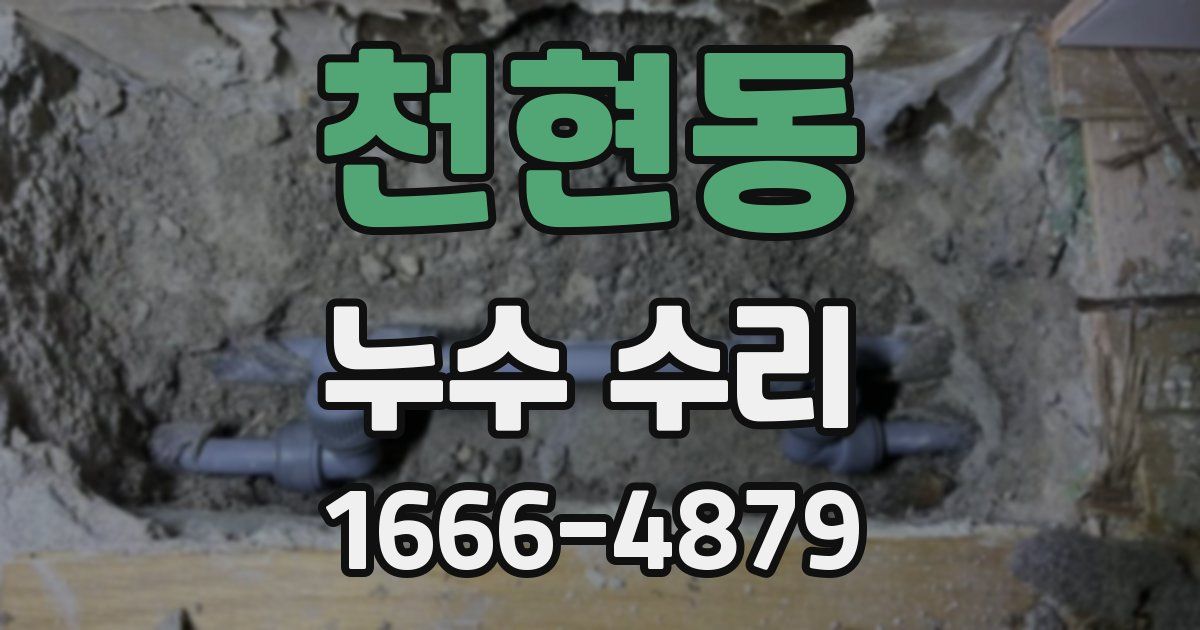 천현동 누수 수리