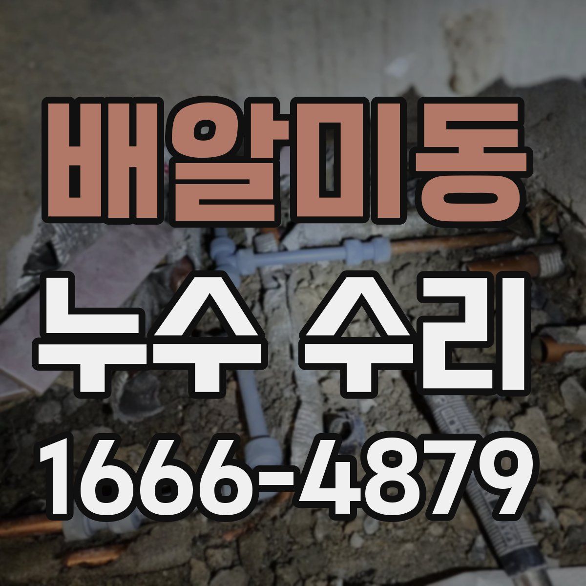 배알미동 누수 수리