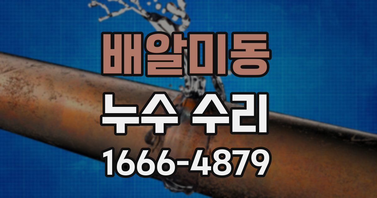 배알미동 누수 수리