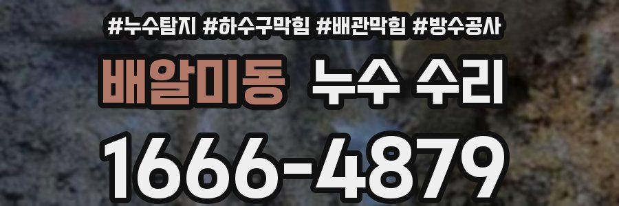 배알미동 누수 수리