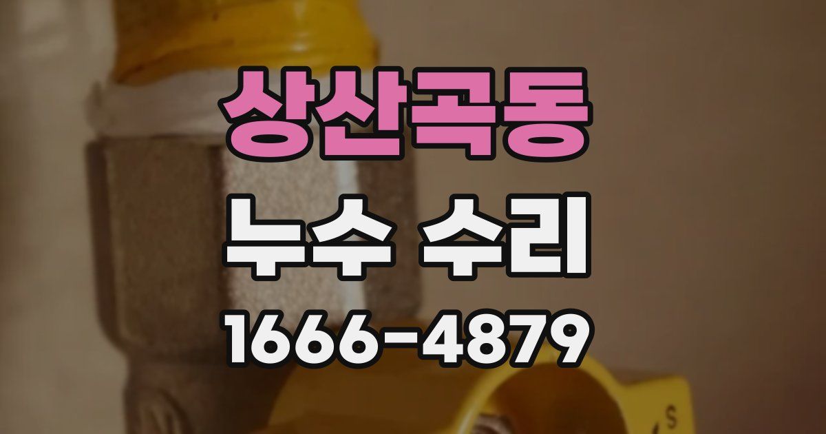 상산곡동 누수 수리