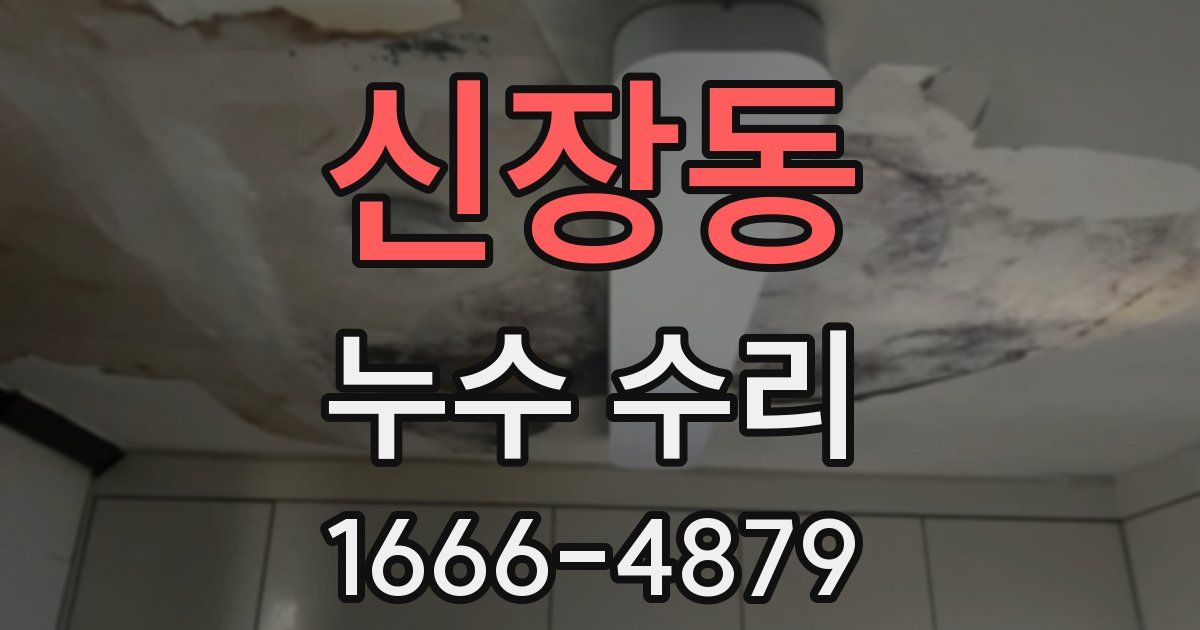 신장동 누수 수리