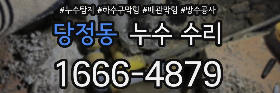 당정동 누수 수리