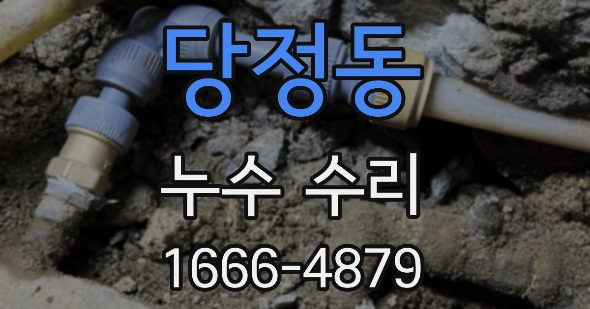 당정동 누수 수리