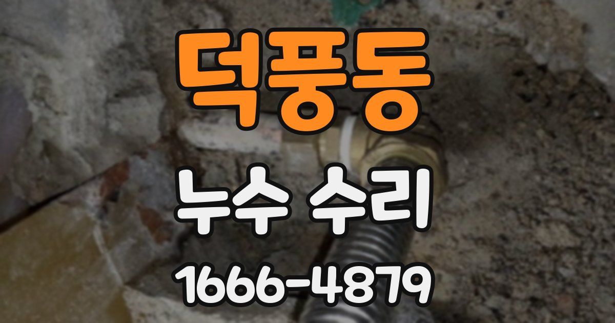덕풍동 누수 수리