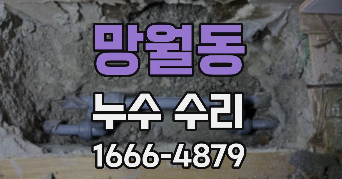 망월동 누수 수리