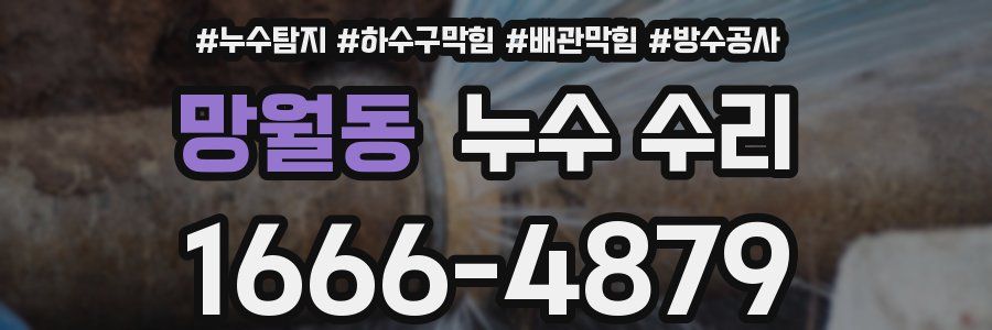 망월동 누수 수리