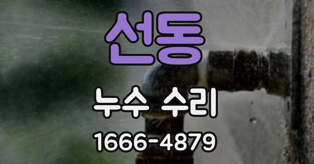 선동 누수 수리