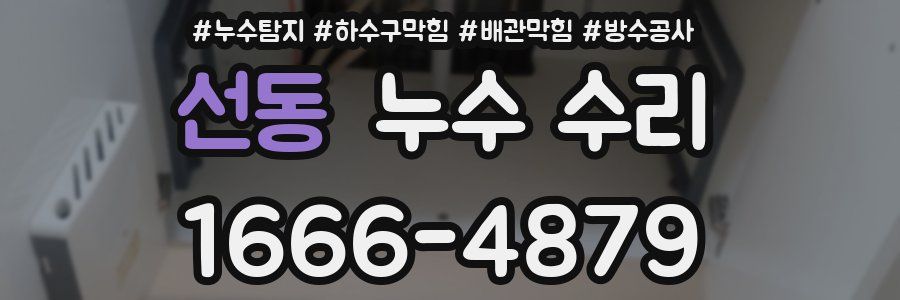 선동 누수 수리