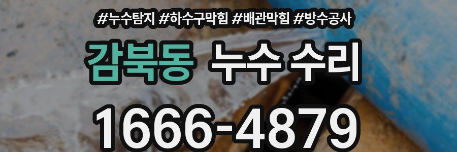 감북동 누수 수리